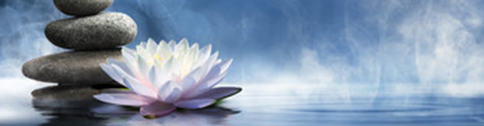 Behavioral Cents Logo | Contact