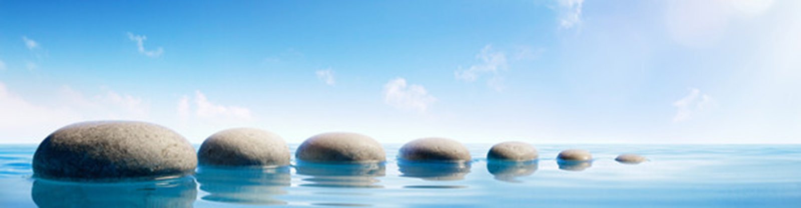 Behavioral Cents Logo | Services Behavioral Cents Logo | Services