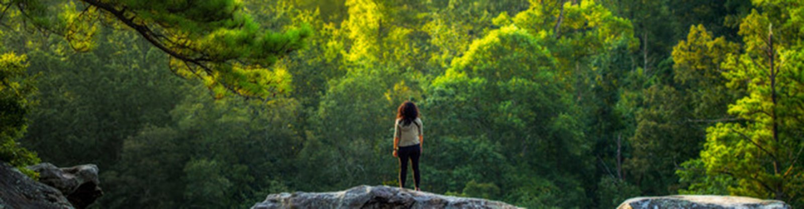 Behavioral Cents Logo | Stopping Overshopping (TM)