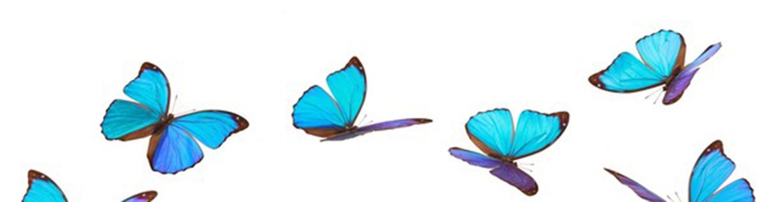 Behavioral Cents Logo | Small Group Coaching Behavioral Cents Logo | Small Group Coaching