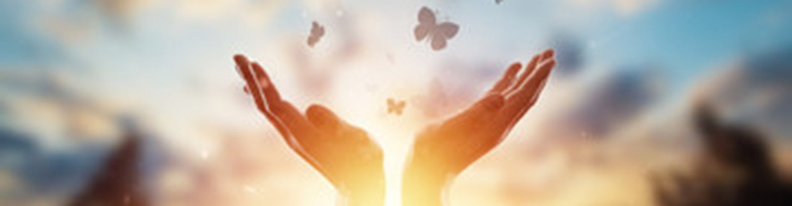 Behavioral Cents Logo | Debt FREE