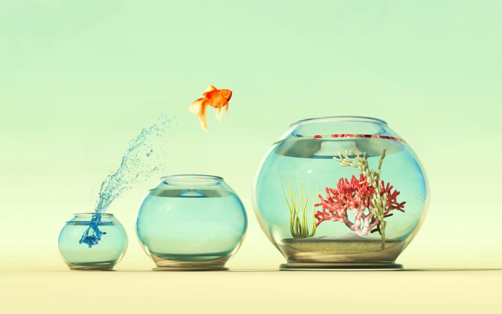 Behavioral Cents Logo | Reduce Overshopping by Mastering Your Emotions Goldfish leaping into larger bowl showing success